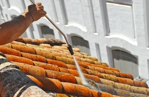 Nettoyage de toitures - Telgruc-sur-Mer